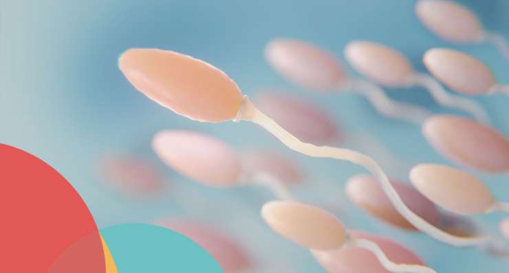Congelación de Semen